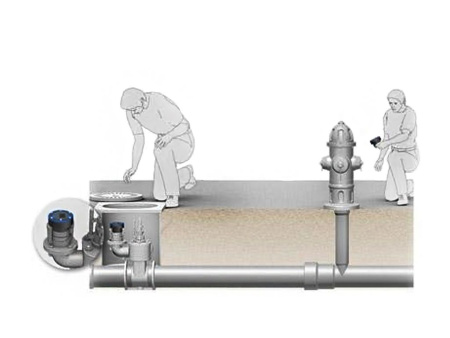 _6